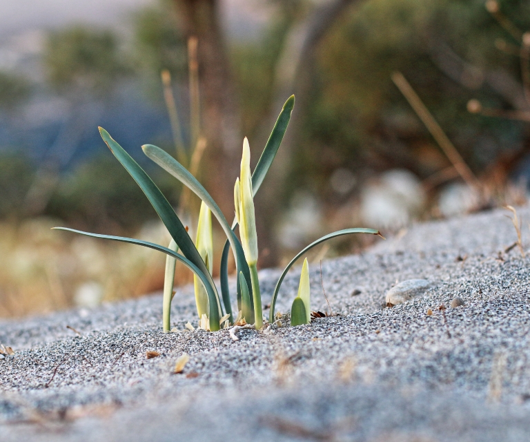 Gallery: Impressions