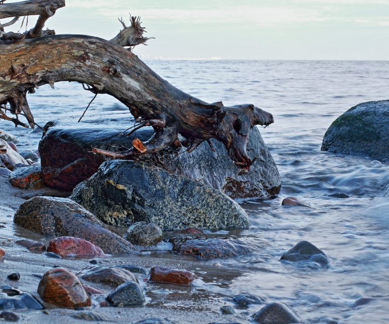 Gallery: Impressions